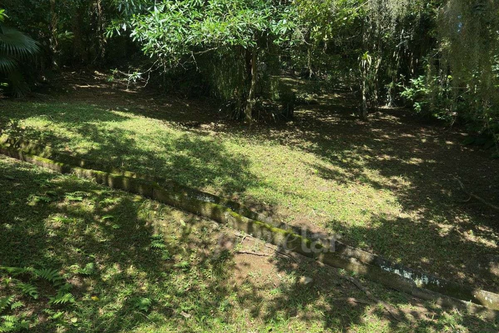 246593ea-4efa-4238-9159-56c16688ba9d