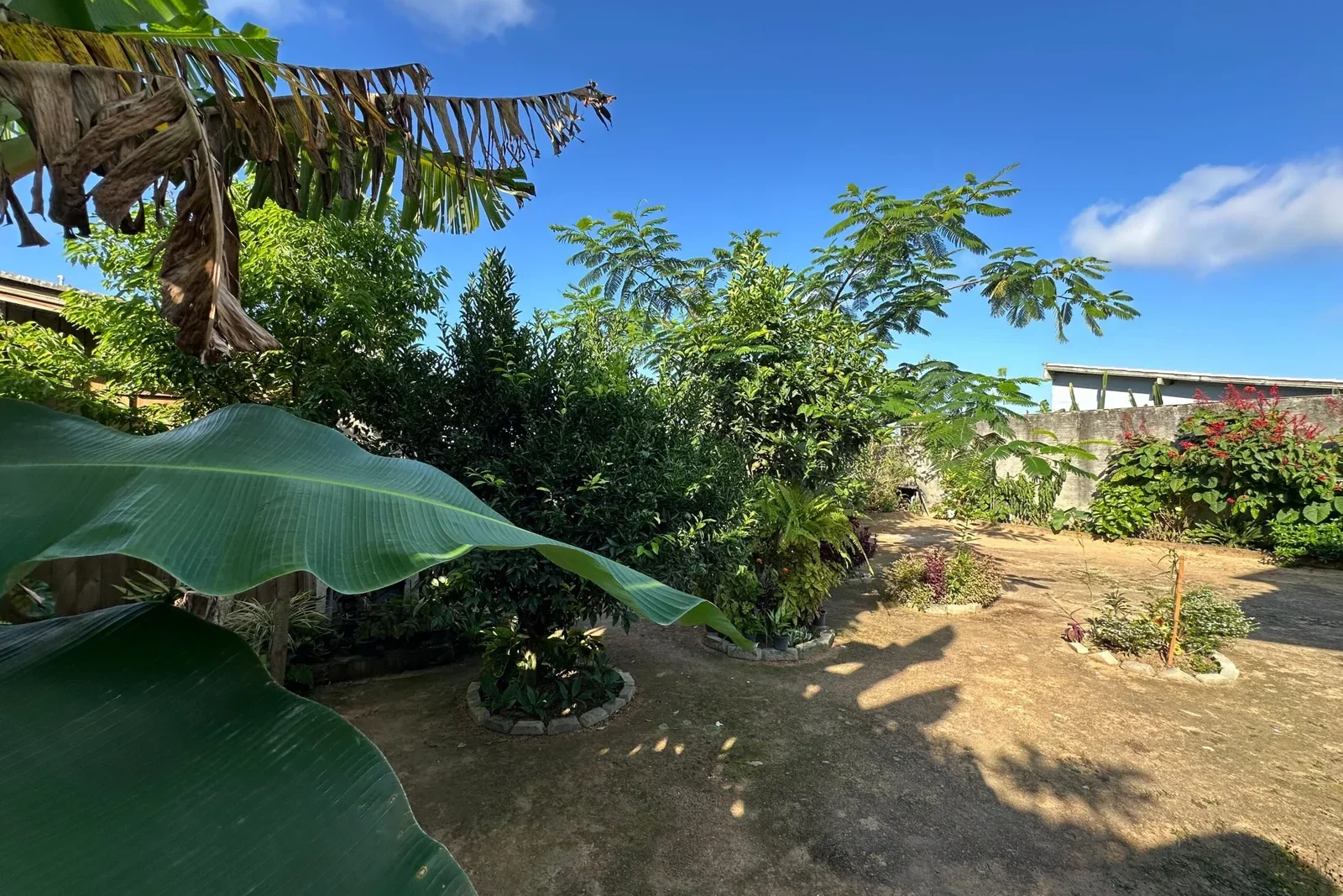 Foto-de-Karin-Akao17-scaled-1