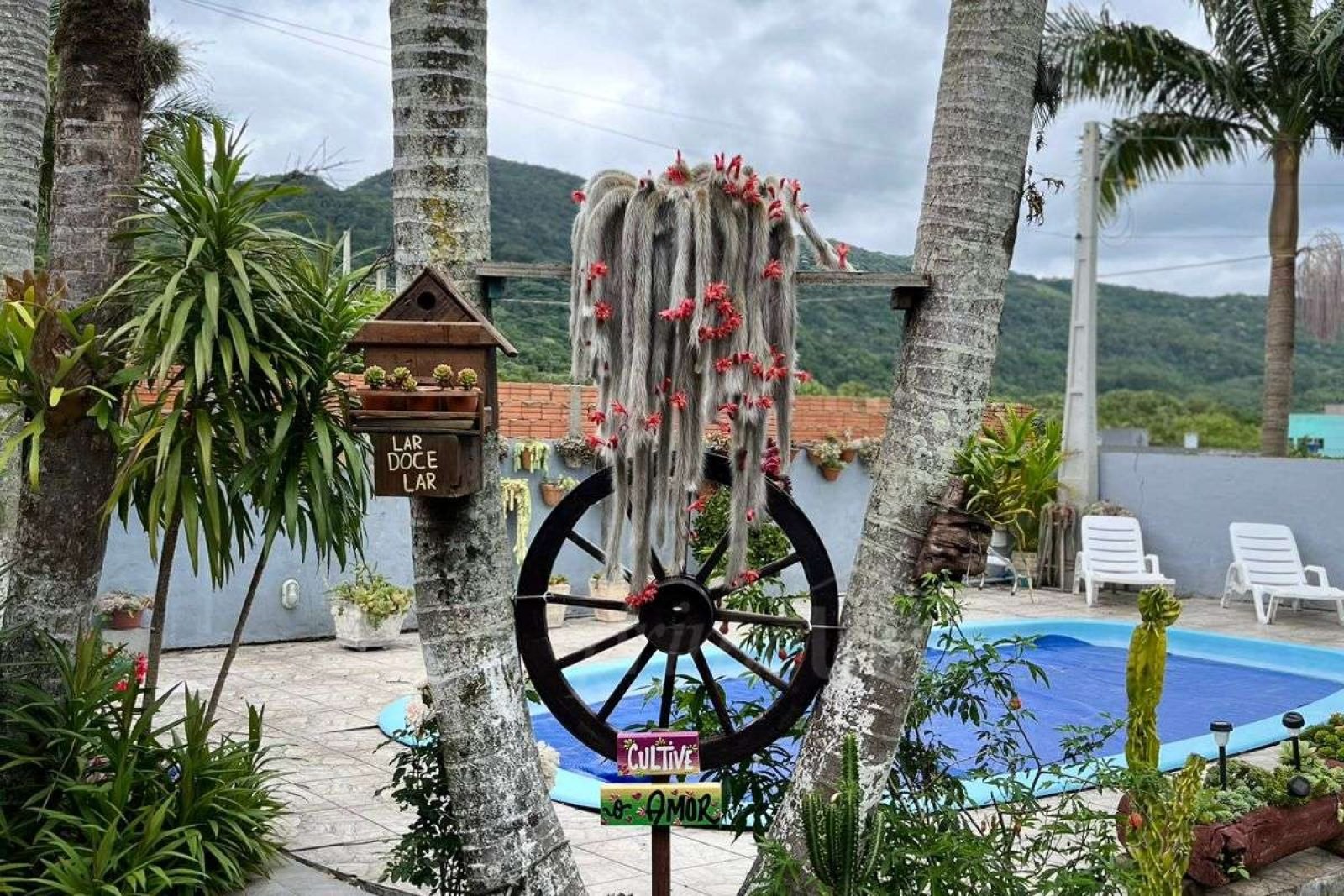 WhatsApp Image 2025-12-31 at 08.13.01