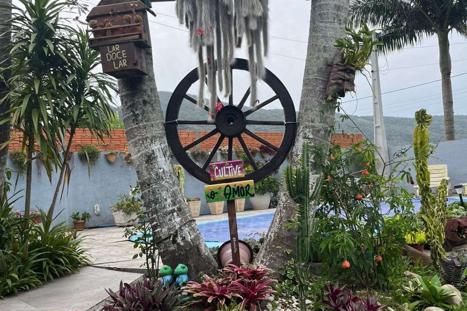 WhatsApp Image 2026-01-01 at 16.41.23 (1)