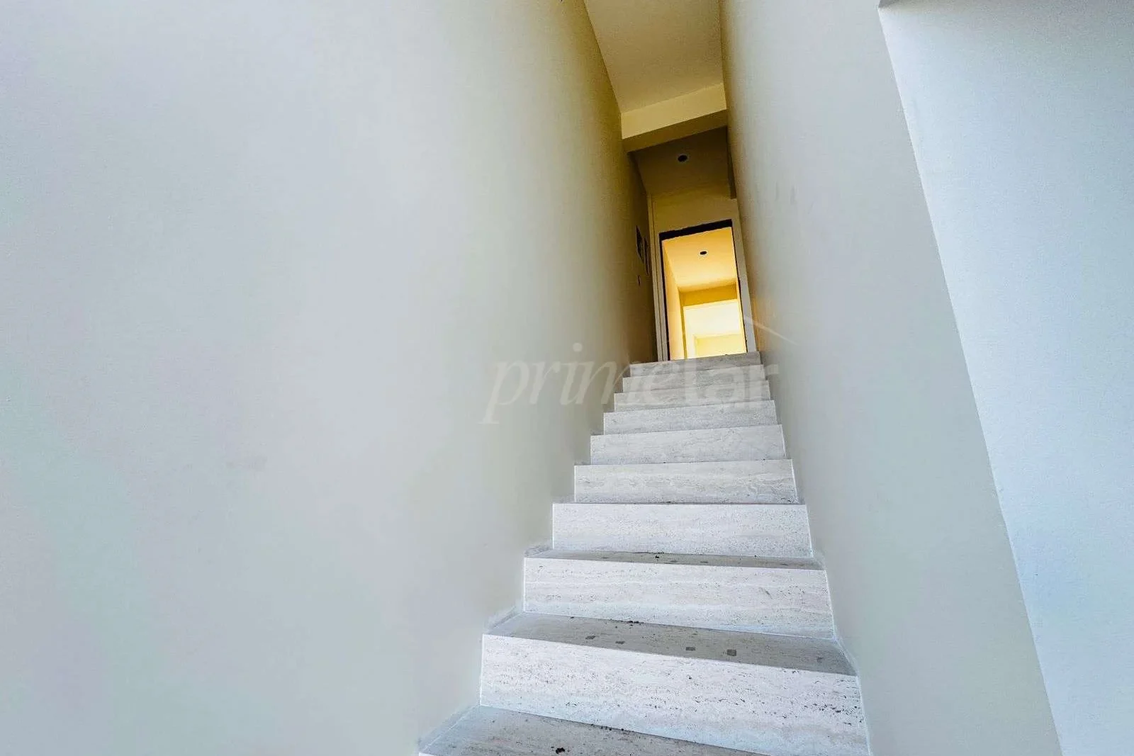 f6193b8f-44c3-4aa5-85b5-c2cc3879e10c